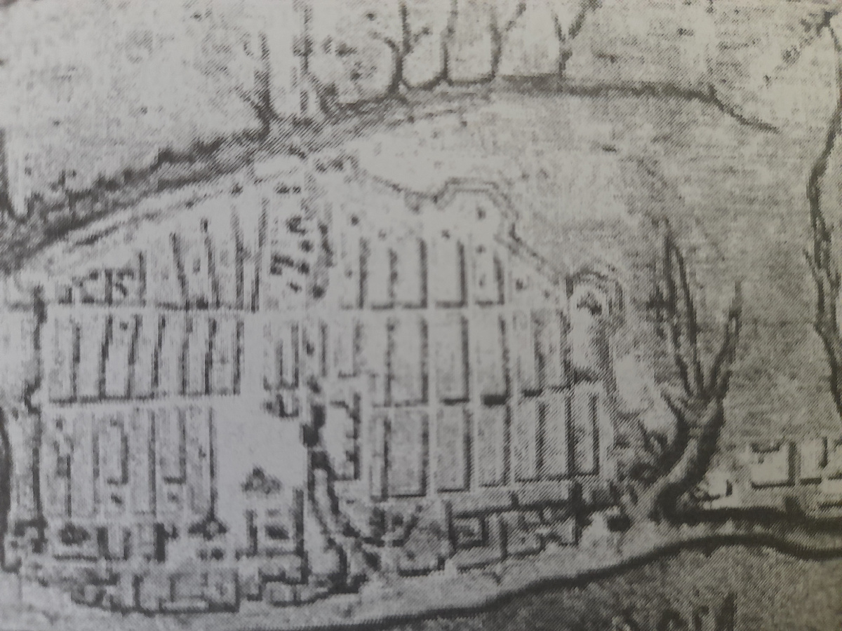 план Царицына 1742 год.