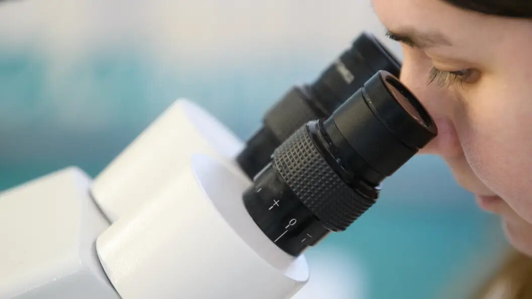    Фото: Ilya Moskovets/URA.RU/Globallookpress