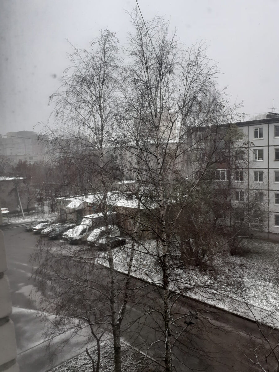 Первый снег в Вологде