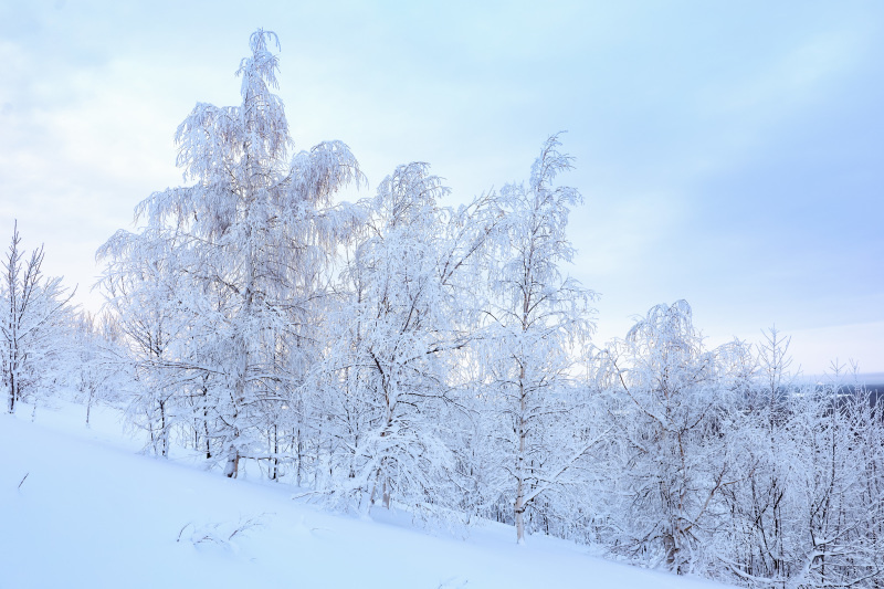    Фото: © Elena Mayorova/Globallookpress