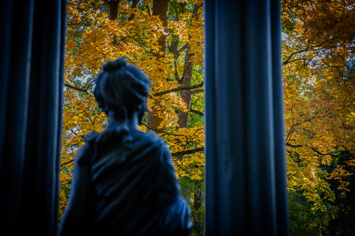 Фото: ГМЗ «Царское Село», Святослав Новиков