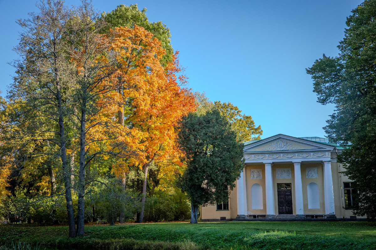 Фото: ГМЗ «Царское Село», Святослав Новиков