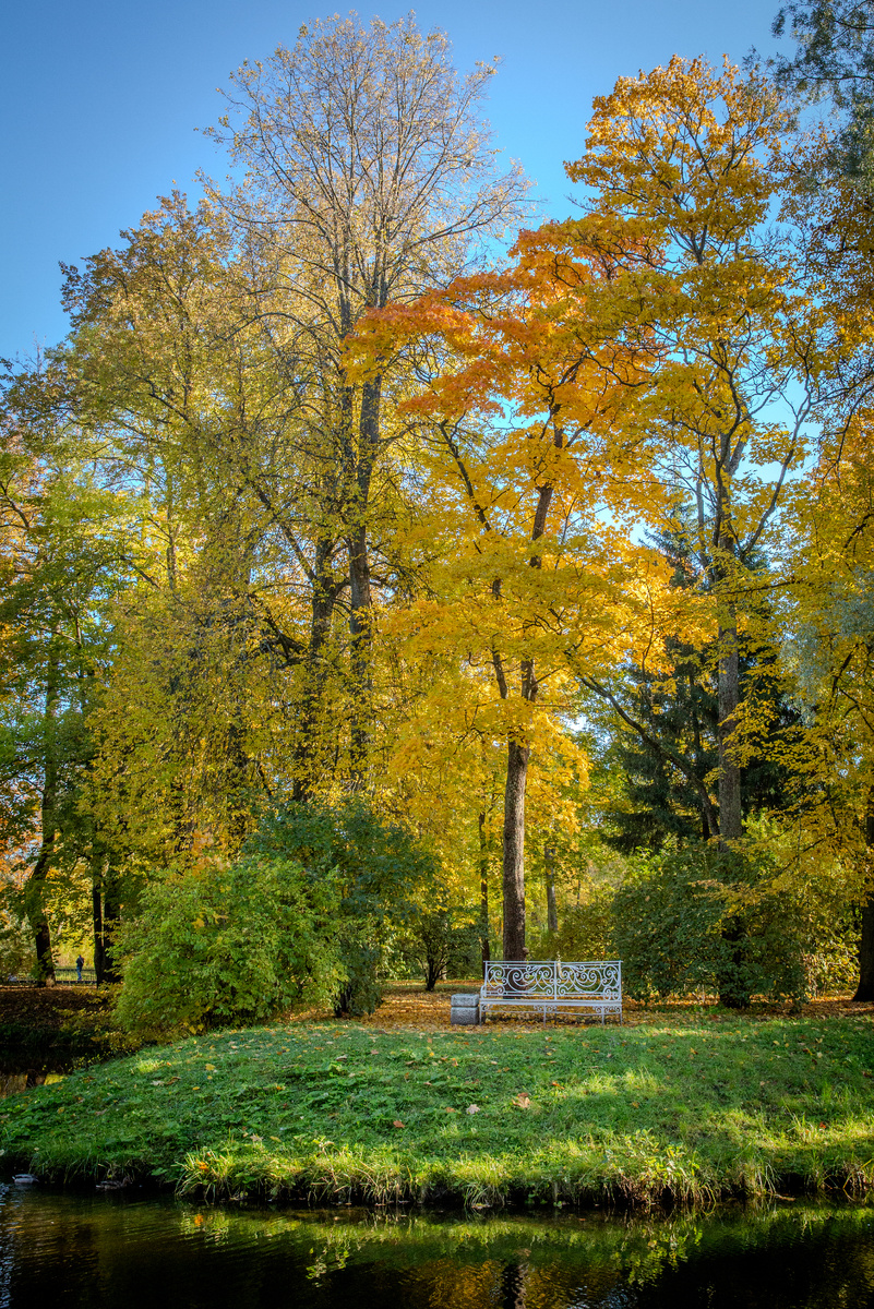 Фото: ГМЗ «Царское Село», Святослав Новиков