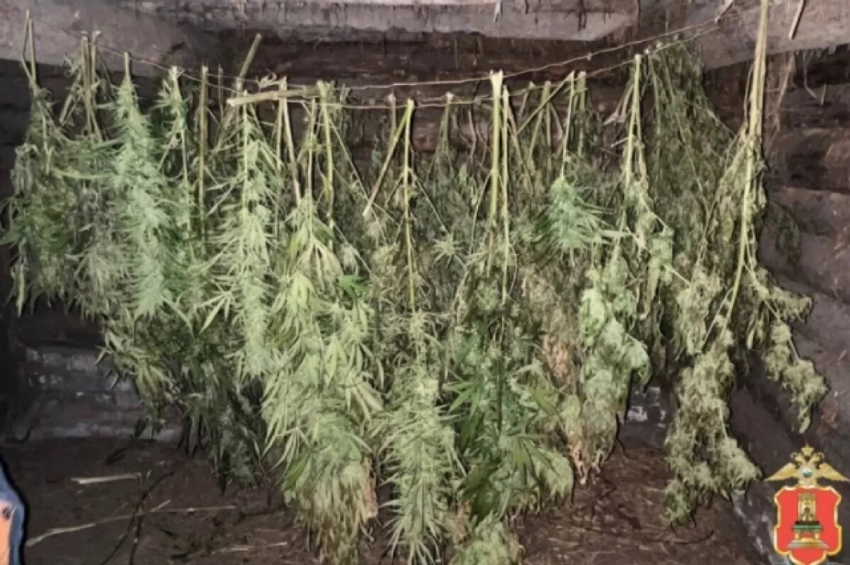    В Тверской области мужчина хранил «для себя» 5 кг наркотиков