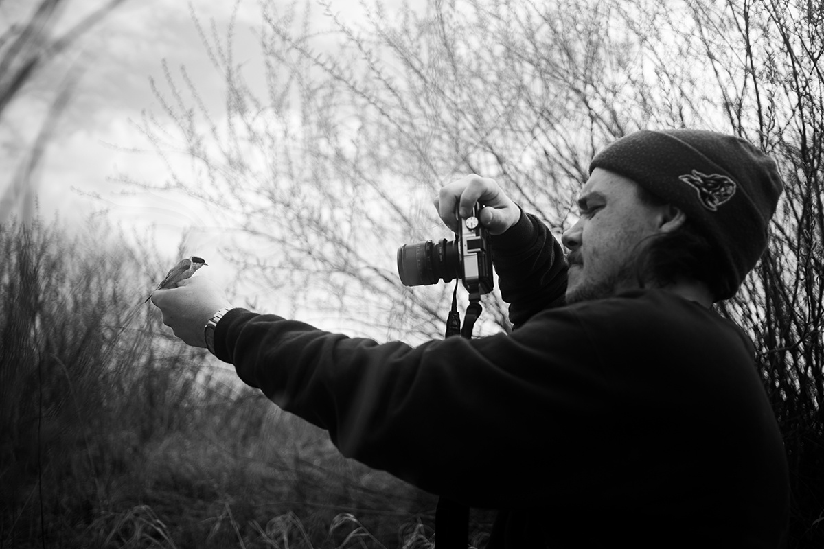 Вадим снимает пойманную птицу для своего архива
Фото: Никита Коляскин