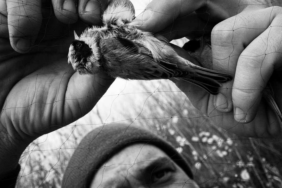 Фото: Никита Коляскин
