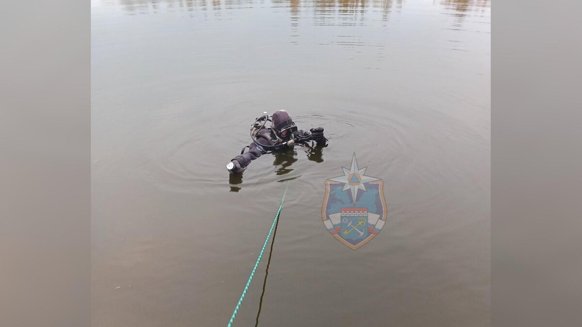    Фото: t.me/acclenobl