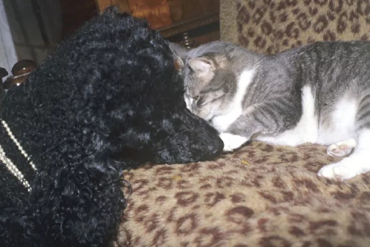    Фото: А. Соломонов, источник: РИА Новости