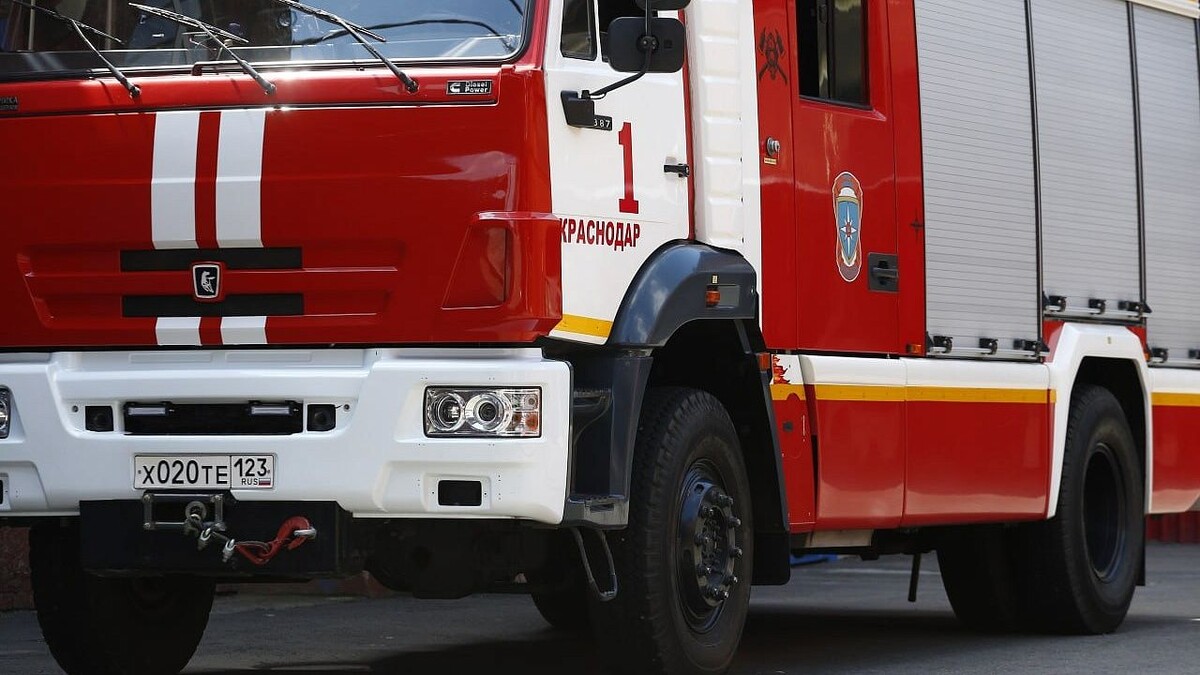    Фото: телеканал «Краснодар»