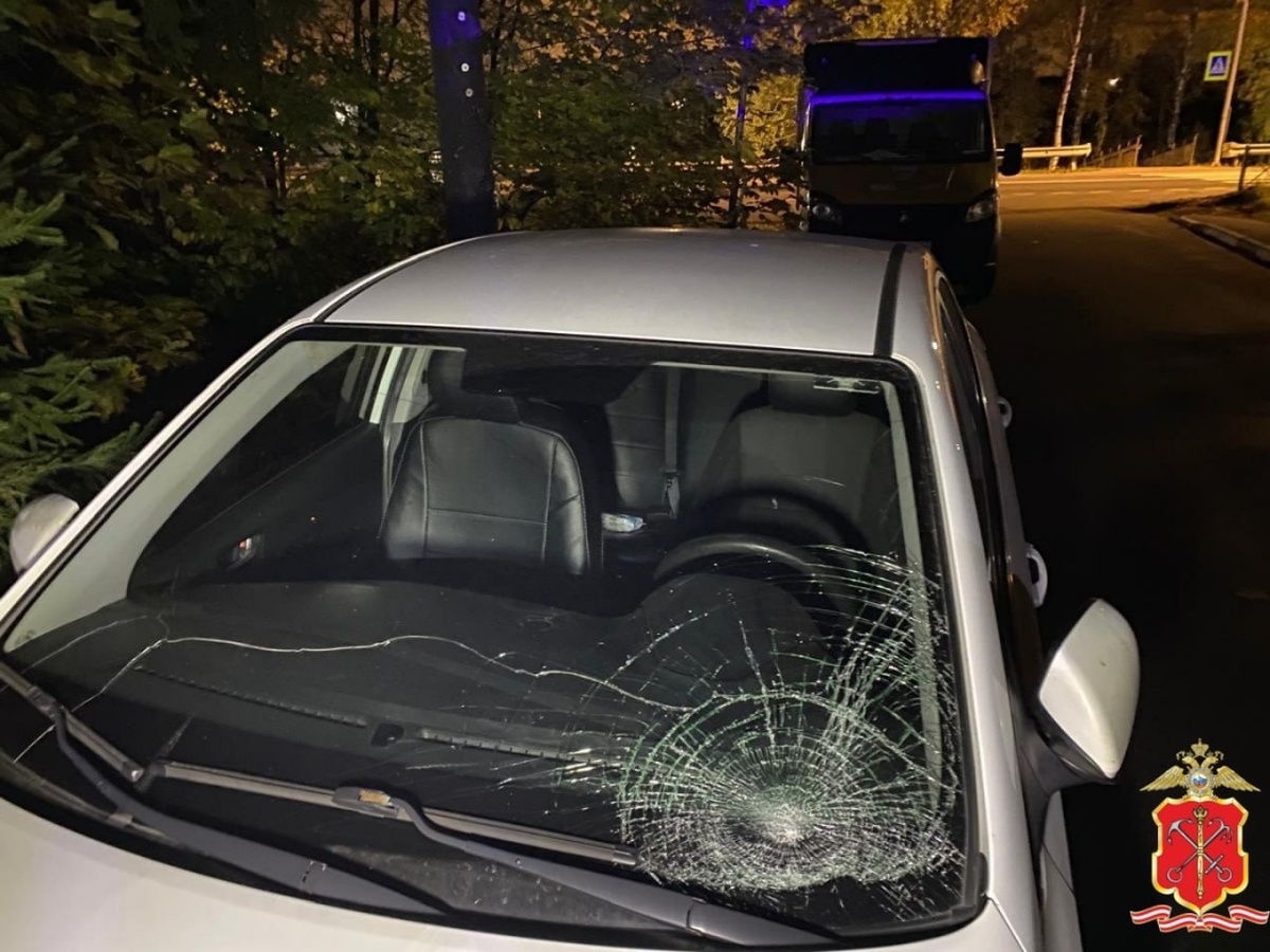 Фото: пресс-служба ГУ МВД РФ по Петербургу и Ленобласти