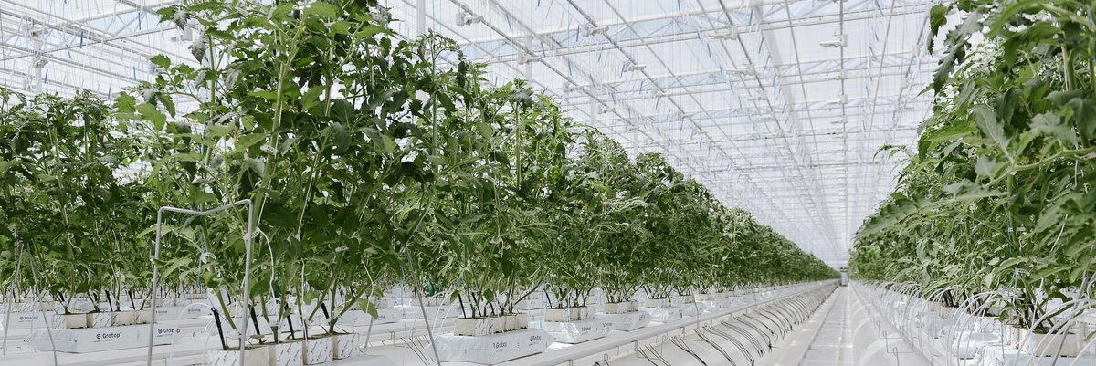 Поставка основного оборудования, пуско-наладочные работы, обслуживание