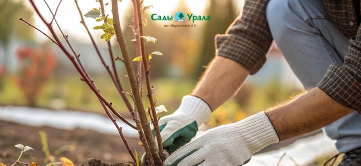 Создать карусель