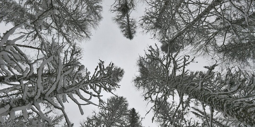 «Этих людей уже нет». Шаман о пропавшей семье в тайге под Красноярском