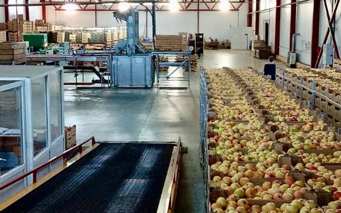    Фото предоставлено пресс-службой Министерства экономики Краснодарского края