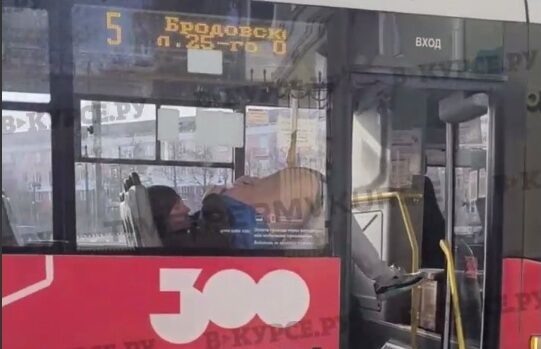    Фото: В курсе.ру Полина Анкушина