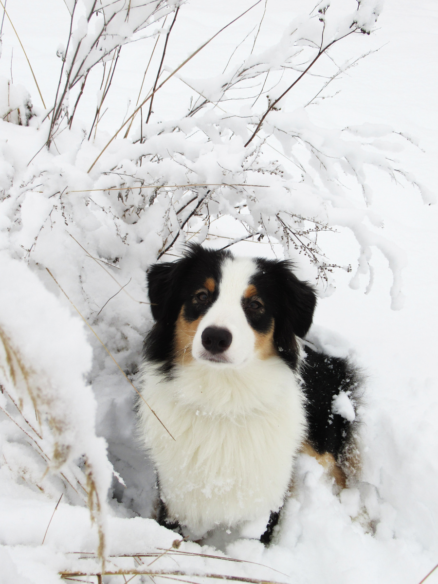 Фото времен описываемых событий. Ноябрь 2021