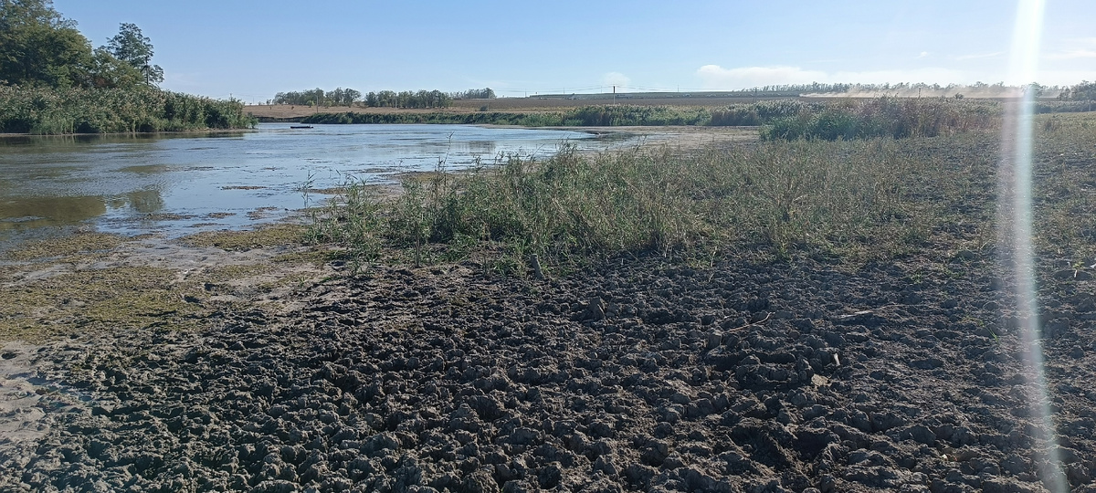 Стою почти посередине реки Темерник