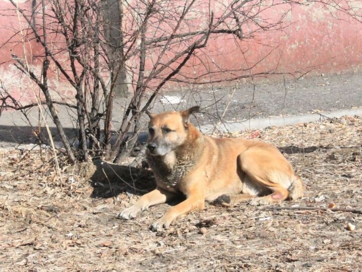    Фото:Екатерина Подпенко