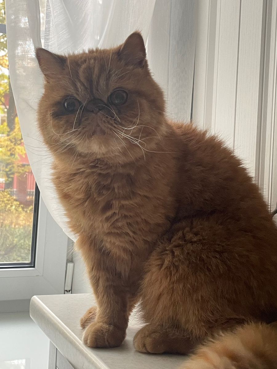 Очень серьёзный настрой:)