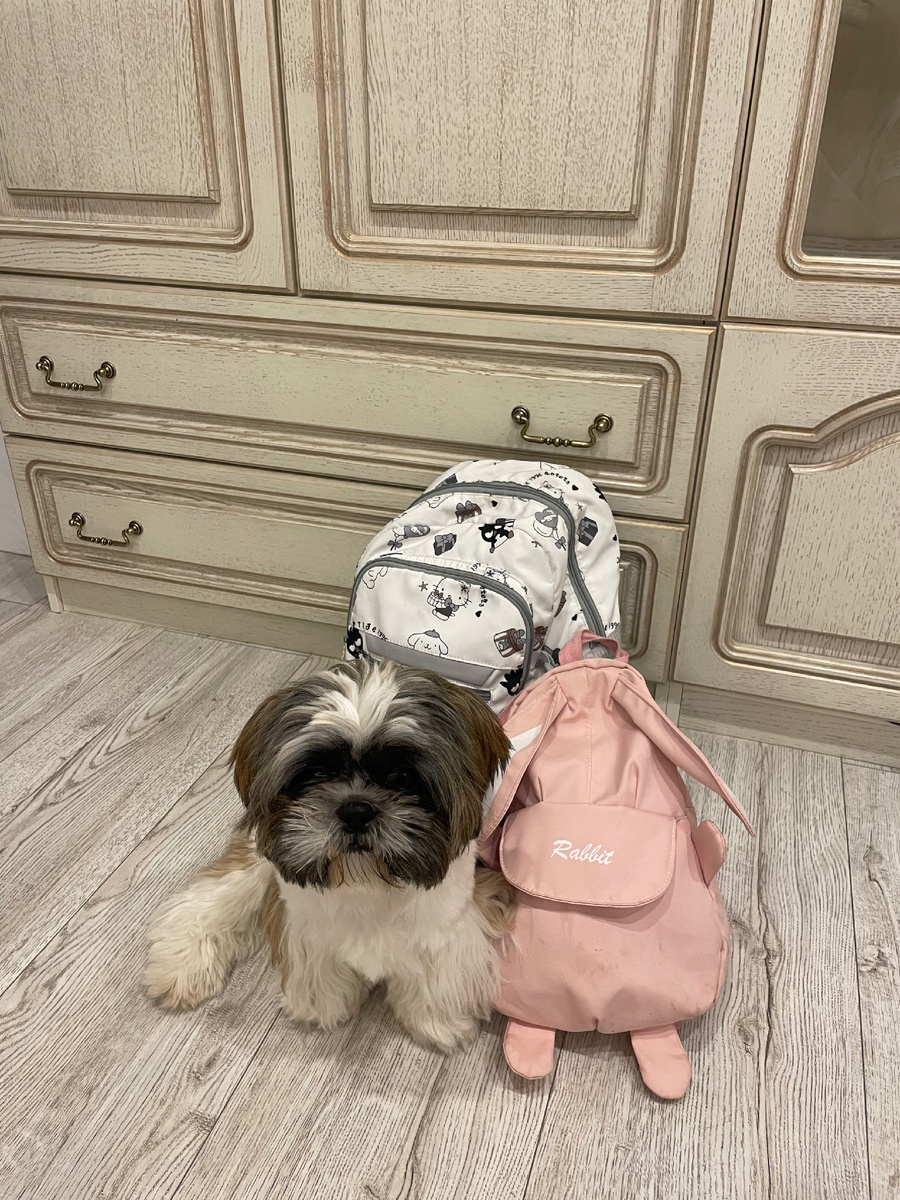 Охраняет детские вещи:)