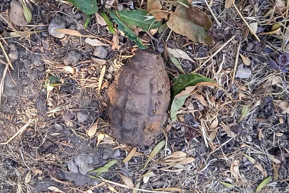    Фото пресс-службы ГУ Росгвардии по Краснодарскому краю.