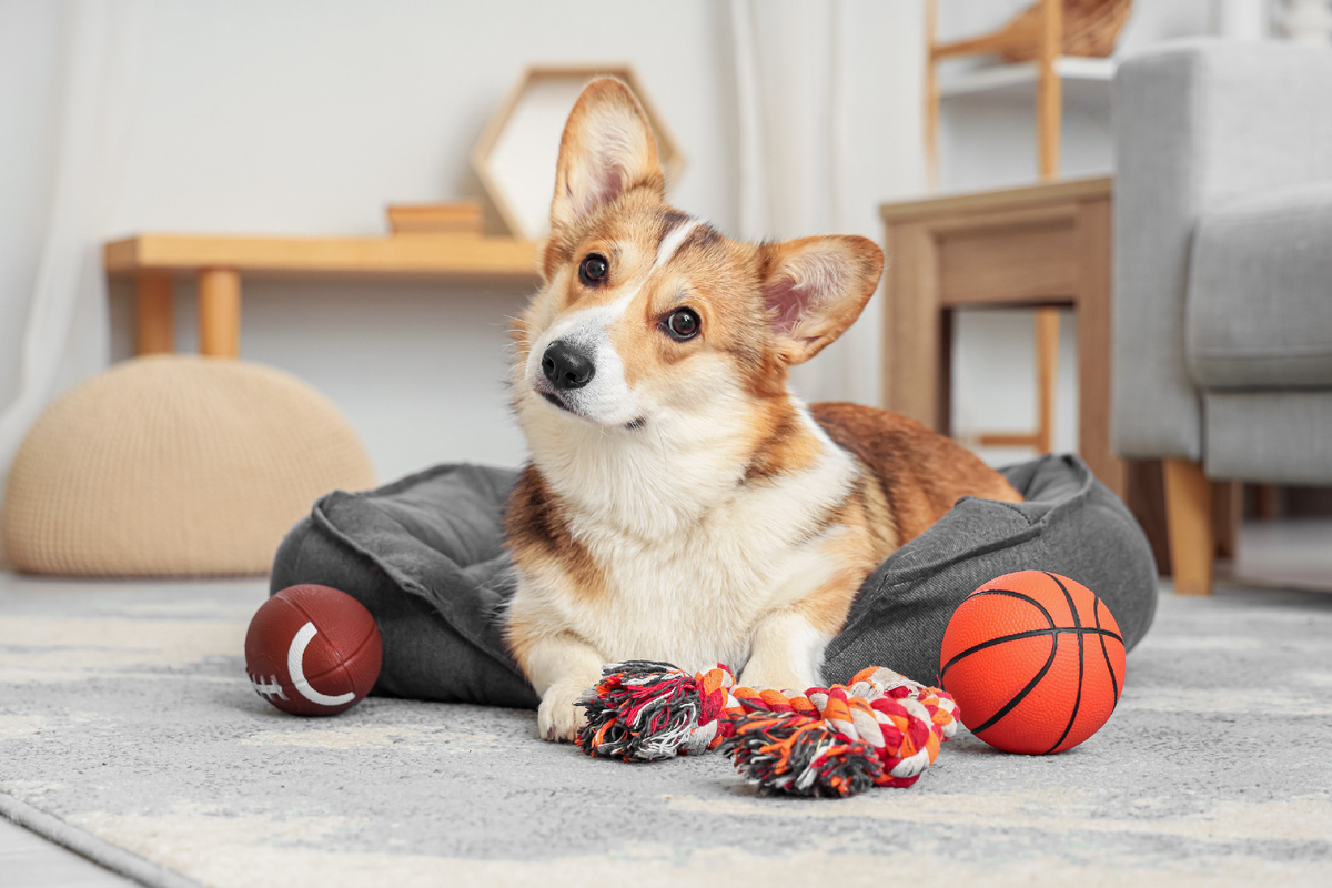 Фото: Shutterstock