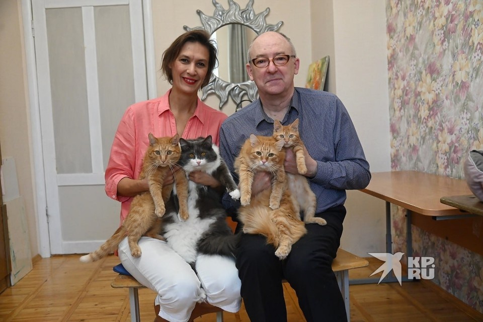    Бывший следователь Андрей Чечель и его супруга Елена спасают котиков и находят для них заботливых хозяев Ольга ЮШКОВА