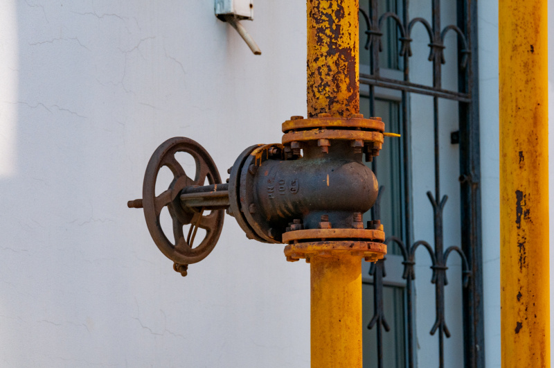    Фото: © Svetlana Vozmilova/Globallookpress