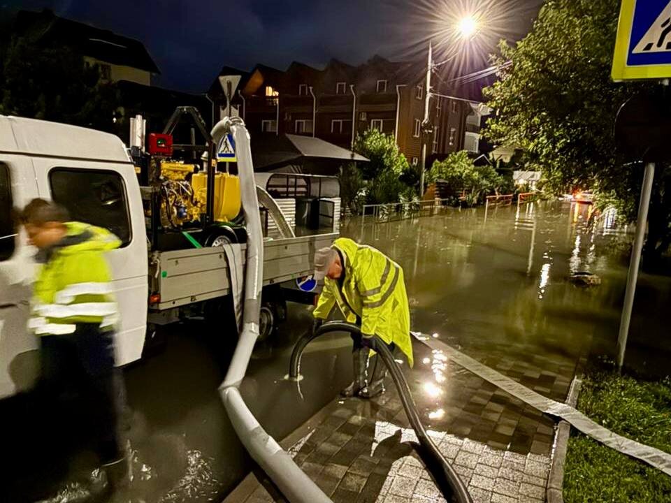    Фото: Telegram/Дмитрий Плишкин