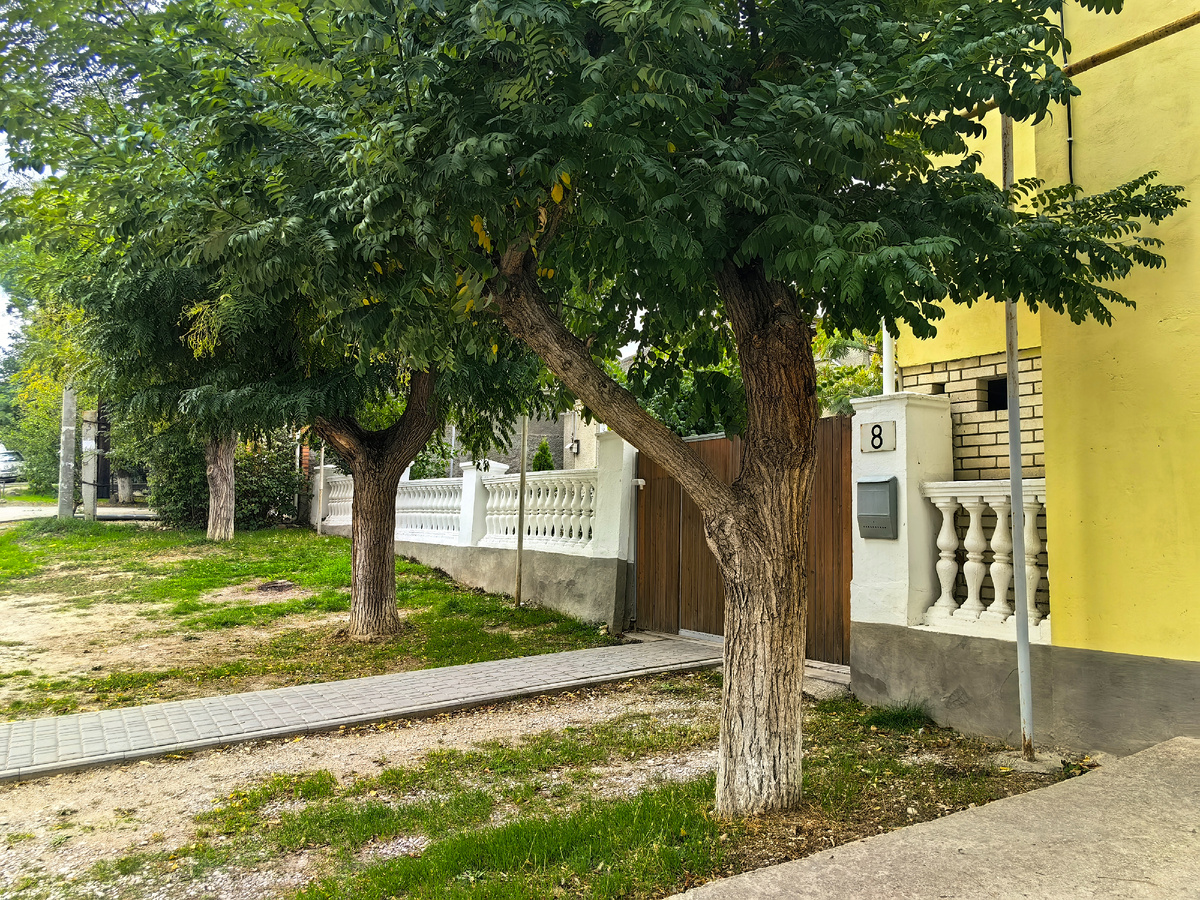 Сегодня. Фото автора канала