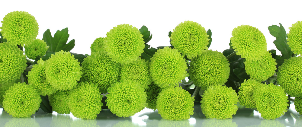 Источник фото shutterstock.com