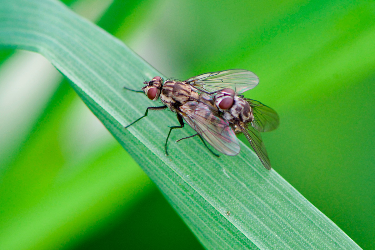 Gerrit Lammers / Shutterstock / FOTODOM📷      -   