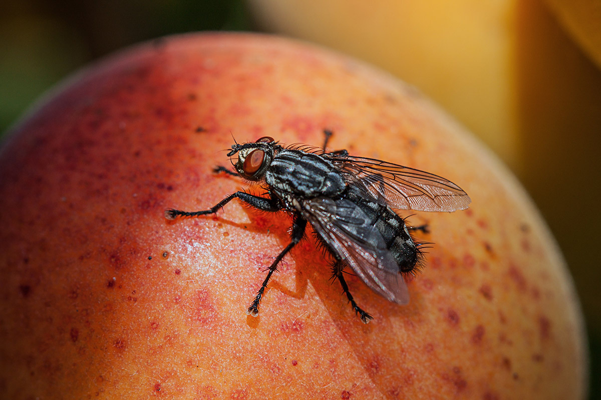 KMFehr / Shutterstock / FOTODOM📷      500    100 