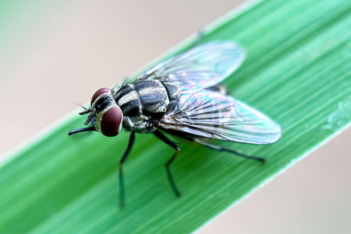 Faisal.k / Shutterstock / FOTODOM📷     ,           - 