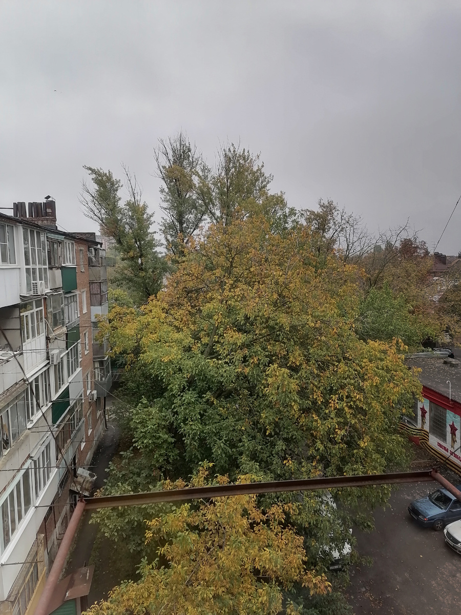 Каждый день я смотрю в окно, и вижу как это дерево желтеет с каждым часом... 🍂🍁 Природа готовится к зиме ❄️, а я не люблю осень... Да, красиво когда желтые листья тихо падают на землю, но всё портит дождь, грязь и ветер... Погода пасмурная угнетает, нападает тоска и лень.... Хочется, чтобы всегда было лето ☀️ Зелень, цветы, солнышко 🌞 В перейди долгая, грязная зима ( у нас) 😅 
Но не будем грустить, и будем расценивать это как уход старого и приход чего то нового, хорошего 🤗 Новый виток жизни, перемены к лучшему 😊
Как говорится- у природы нет плохой погоды 😁 Просто надо научиться во всём видеть прекрасное 🤗🤗🤗 
