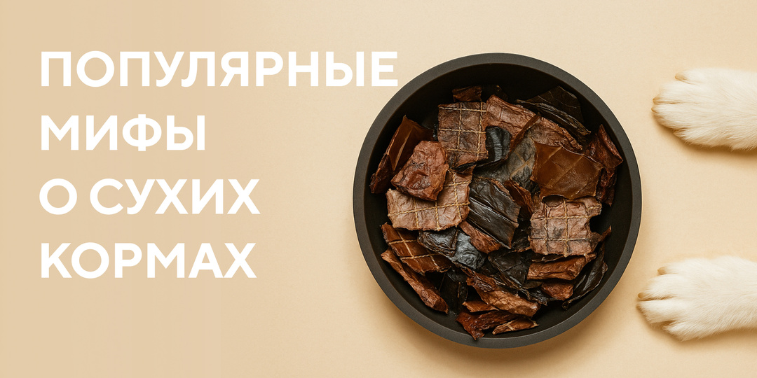 Популярные мифы о сухих кормах