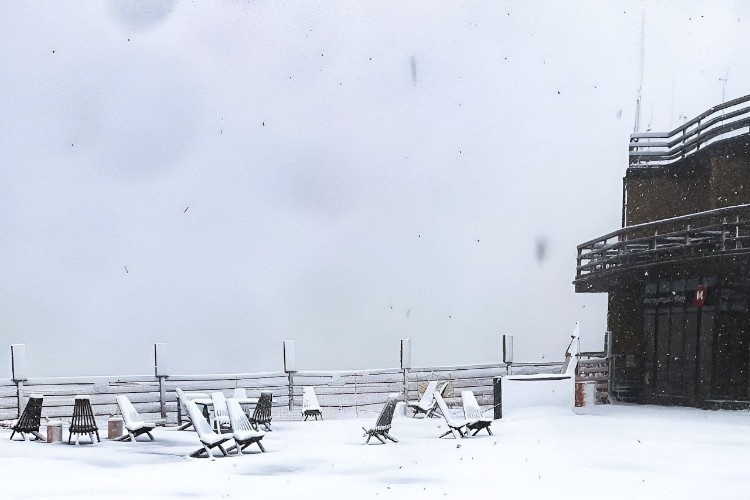    Фото: «Кубань Информ»