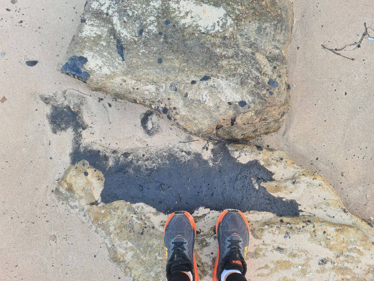 Новые выбросы. Фото: Телеграм-канал волонтеров "Дельфины"