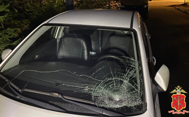    © Пресс-служба ГУ МВД России по Петербургу и Ленобласти