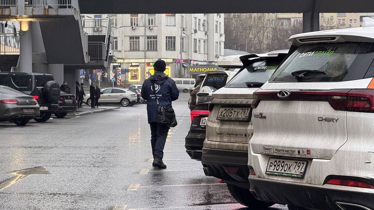    Фото: Андрей Прошин / Вечерняя Москва