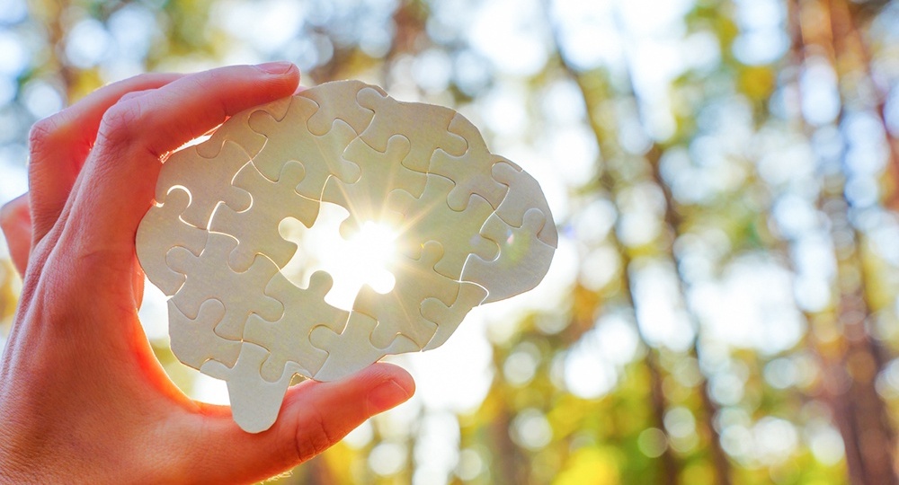 Как тренировать мозг ежедневно: лучшие упражнения для памяти, внимания и развития мышления