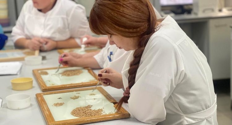    Фото: ФГБУ ЦОК АПК