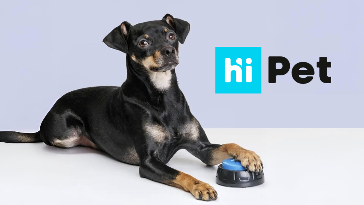 HiPet Голосовая кнопка для дрессировки собак, арт. 1059023