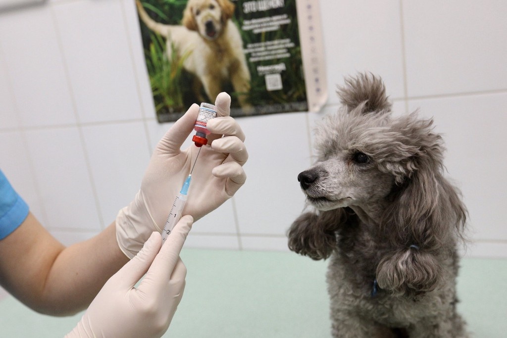    Фото © АГН «Москва» / Кирилл Зыков