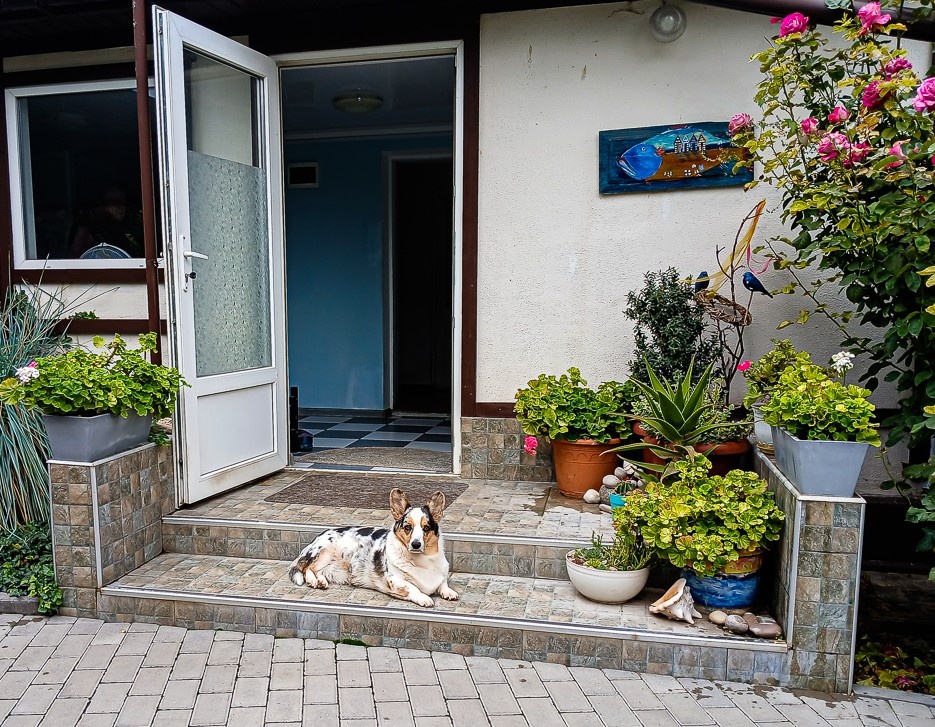 Вот так выглядело наше крыльцо ещё два дня назад.