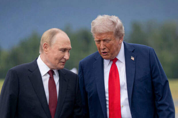 (Изображение взято из открытых источников)