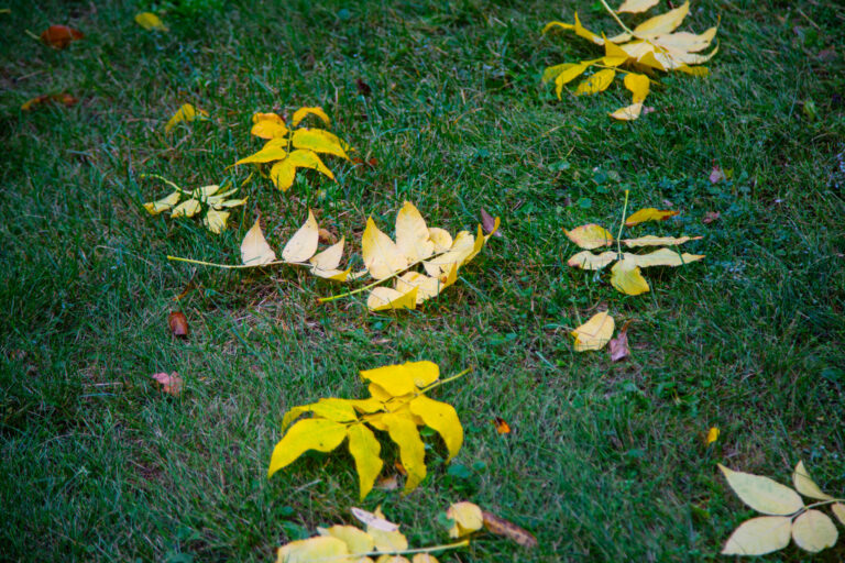    Фото: Общественная Служба Новостей Марта Леви