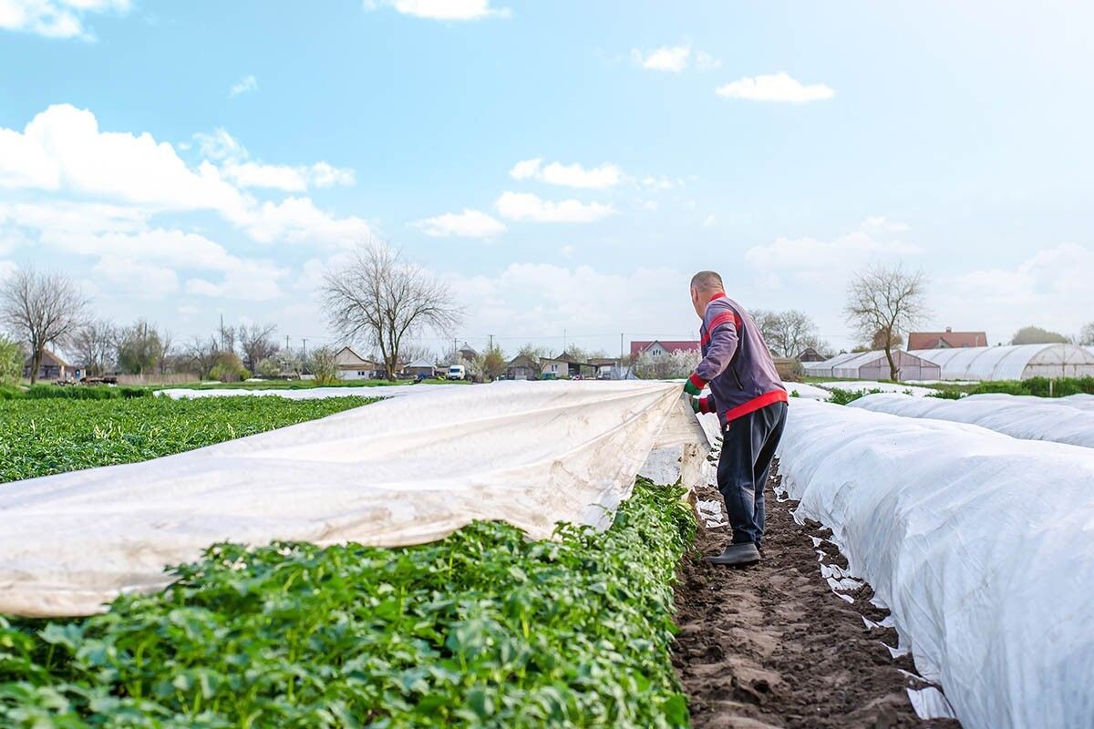 На первый взгляд — обычный рулон синтетического полотна. Но в умелых руках он превращается в многофункциональный инструмент, способный заменить целый арсенал садовой химии и сложных конструкций. Источник: Andrii Yalanskyi / Shutterstock / FOTODOM📷
