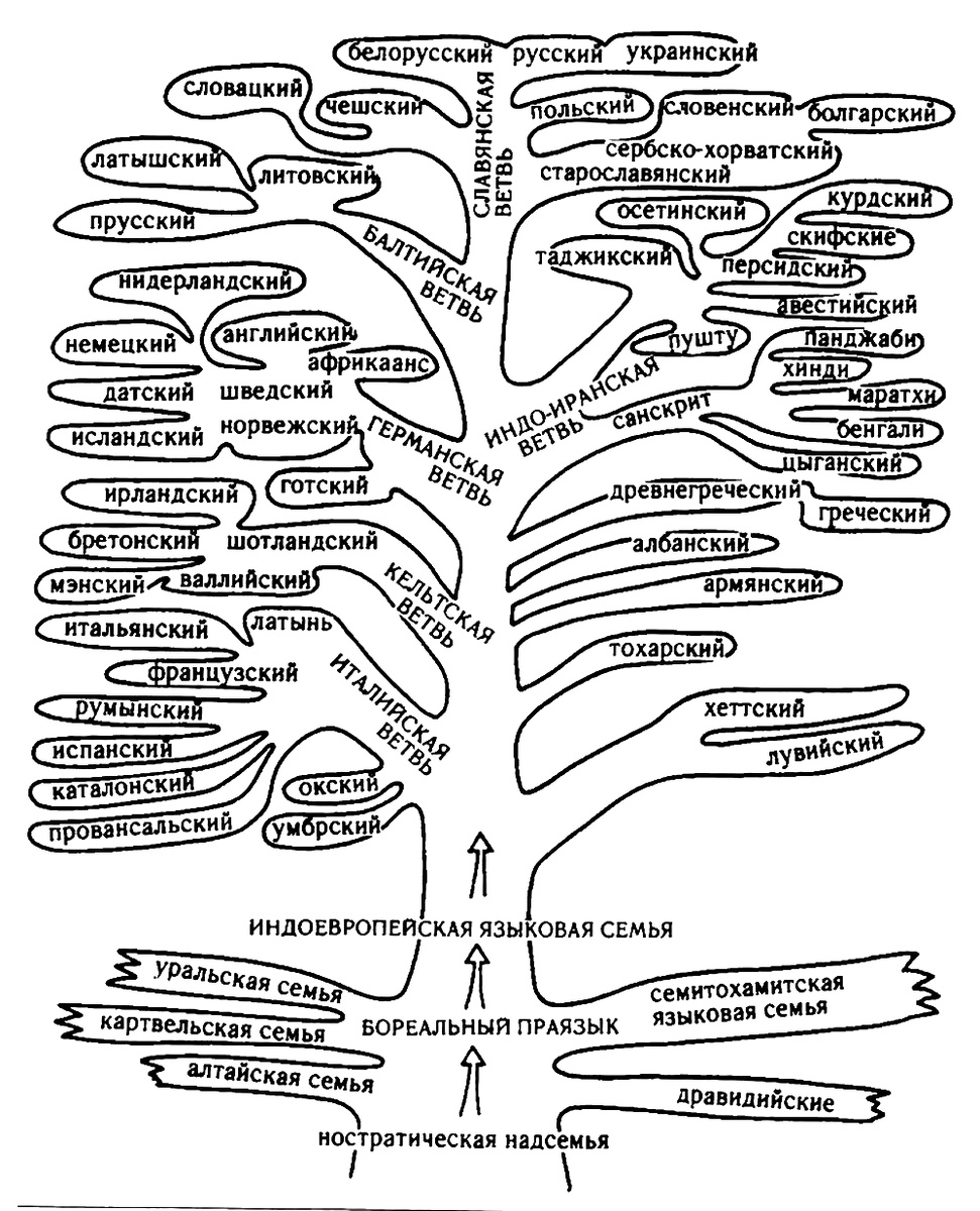 Мировое языковое древо
