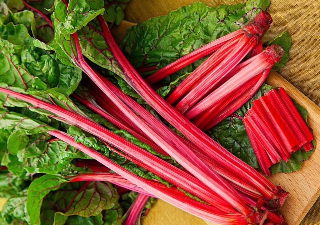  Мангольд Алый